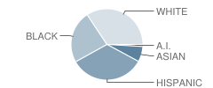 Sandburg Elementary School Student Race Distribution