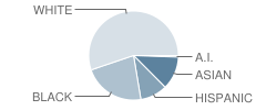 Memorial High School Student Race Distribution