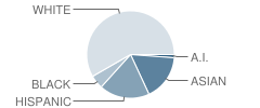 Jefferson Elementary School Student Race Distribution