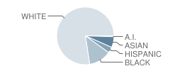 Thomas Jefferson Middle School Student Race Distribution