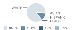 Lincoln Elementary School Student Race Distribution