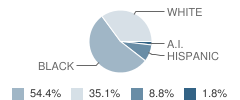 Norris High School Student Race Distribution