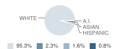 Oakfield High School Student Race Distribution