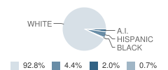 Oconto Elementary School Student Race Distribution