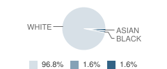 Pepin High School Student Race Distribution