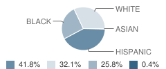 Fratt Elementary School Student Race Distribution