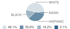 Jones Elementary School Student Race Distribution