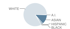 D C Everest Junior High School Student Race Distribution