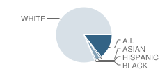 Brener Elementary School Student Race Distribution