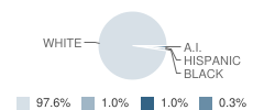 Stanley-Boyd High School Student Race Distribution