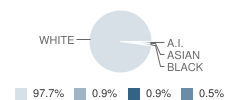 Flambeau High School Student Race Distribution