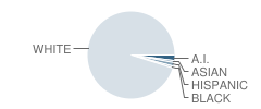 Turtle Lake High School Student Race Distribution