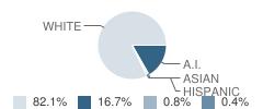 Wabeno High School Student Race Distribution