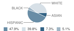 Banting Elementary School Student Race Distribution