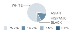 Lowell Elementary School Student Race Distribution