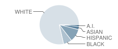 Hale High School Student Race Distribution