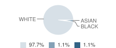 Weston High School Student Race Distribution