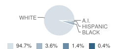 Adamston Elementary School Student Race Distribution