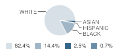 Weberwood Elementary School Student Race Distribution