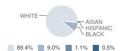 Keyser Primary / Middle School Student Race Distribution