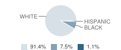 Riverside Elementary School Student Race Distribution