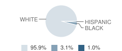 Matewan Middle School Student Race Distribution