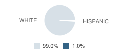 Dixie Elementary School Student Race Distribution