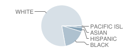 Mabscott Elementary School Student Race Distribution