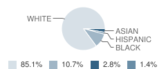 Stanaford Elementary School Student Race Distribution