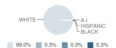 Gihon Elementary School Student Race Distribution