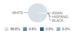 Williamstown High School Student Race Distribution