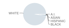 Blennerhasset Junior High School Student Race Distribution