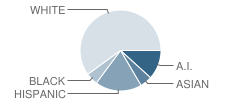 Ketchikan Christian Academy Student Race Distribution