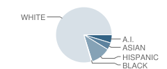 St Elizabeth Ann Seton School Student Race Distribution