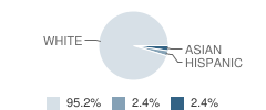 St John Orthodox Christian School Student Race Distribution
