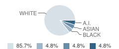 Atheneum School Student Race Distribution