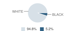 New Life Christian Academy Student Race Distribution