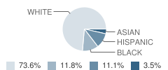 Heritage Academy Student Race Distribution