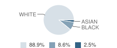 Lakewood Baptist Church School Student Race Distribution