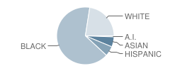 St Barnabas Regional School Student Race Distribution