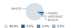 St John the Baptist Catholic School Student Race Distribution