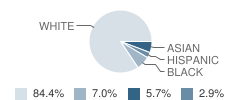 St Pius X School Student Race Distribution