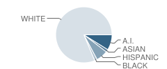 Trinity Christian Academy Student Race Distribution