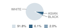 The Academy of Excellence Student Race Distribution