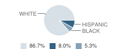 Camelback Desert School Student Race Distribution