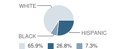 Childrens Center for Neurodevelopmental Study School Student Race Distribution