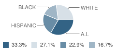 Devereux School Student Race Distribution