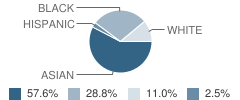 Phoenix Metro Islamic School Student Race Distribution