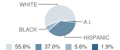 Prehab of Az School Student Race Distribution