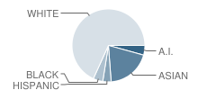 The Orme School of Arizona Student Race Distribution